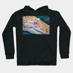 Face of a albino alligator Hoodie